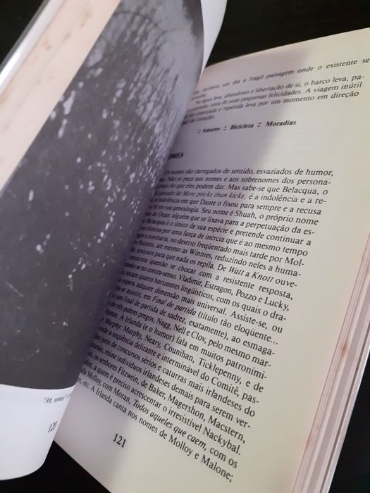 Beckett. Em português. Ludovic Janvier