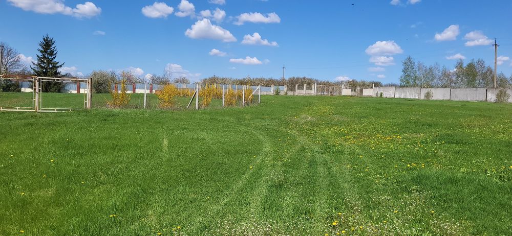 Бізнес/Господарство