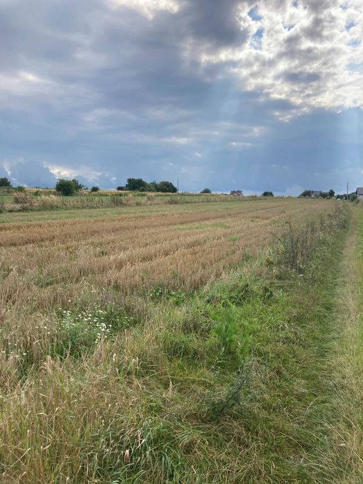 Działka budowlana Kraśnik 7 arów 96 000 zł