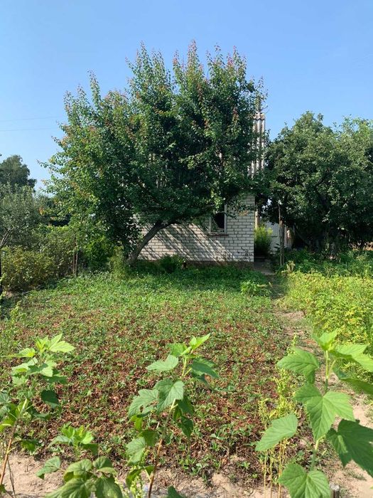 Продам дачу в СТ Березанка, 6 соток