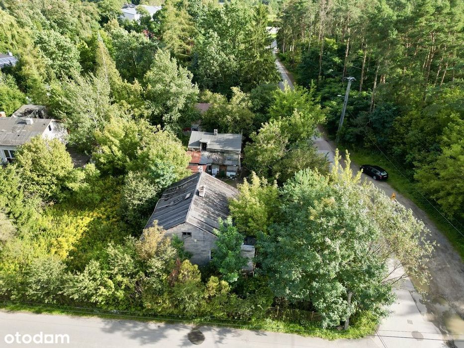 982 m² w Wolicy | las naprzeciwko | media | S8 - Więcej