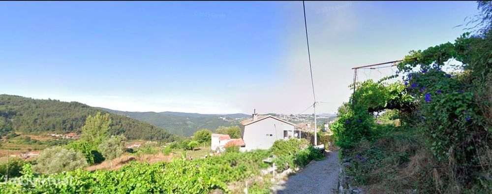 Terreno com 30 000 m2 no Douro e a 60 km Porto