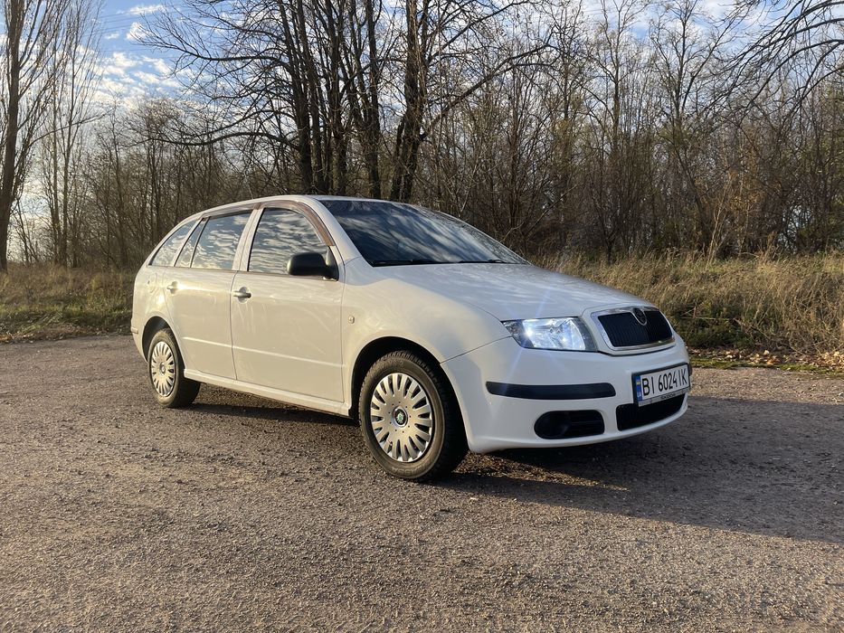 Skoda Fabia 1 1.4 TDI 2007 рік
