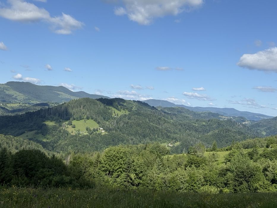 Земельна ділянка участок Плоский-2 , с.Яворів, Косівський р-н