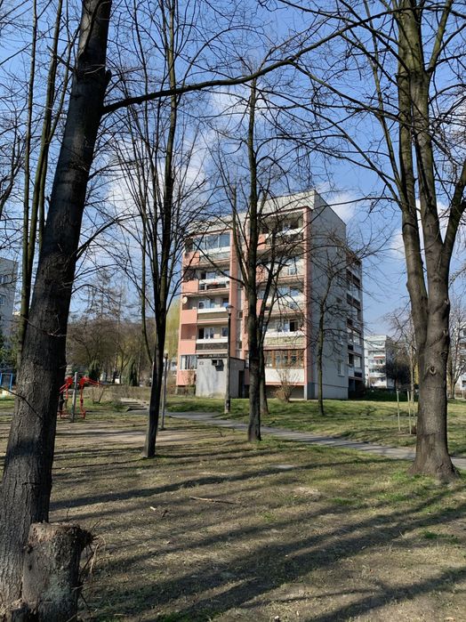 1 piętro, tramwaj, widok na park, 2 pokoje