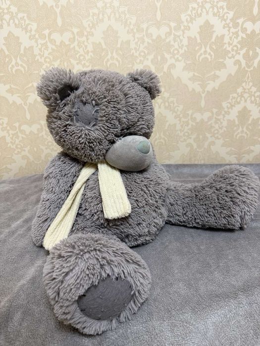 Ведмедик тедді, ведмідь