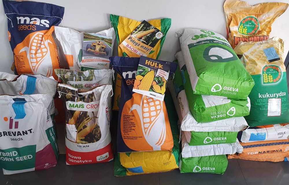 Nasiona kukurydzy, Mas seeds Komandos,Smolice Vistula, Top nasiona, Kenora