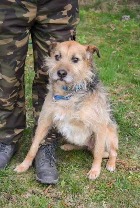 Dasz szansę grafiemu?