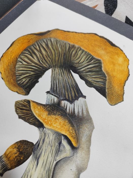 Pintura à mão (pessoal)