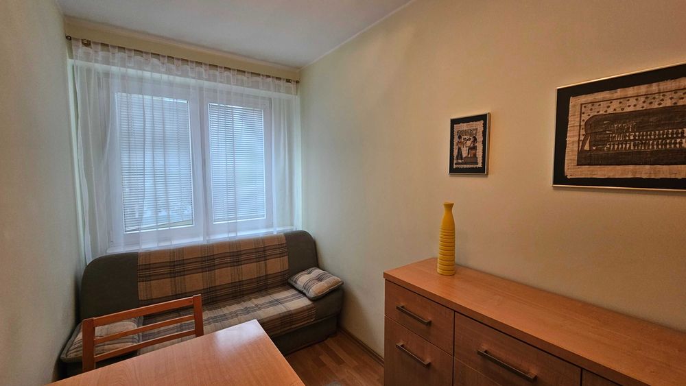 Płock, osiedle Wielka Płyta, 32 mkw, 2 pokoje - Widok 6