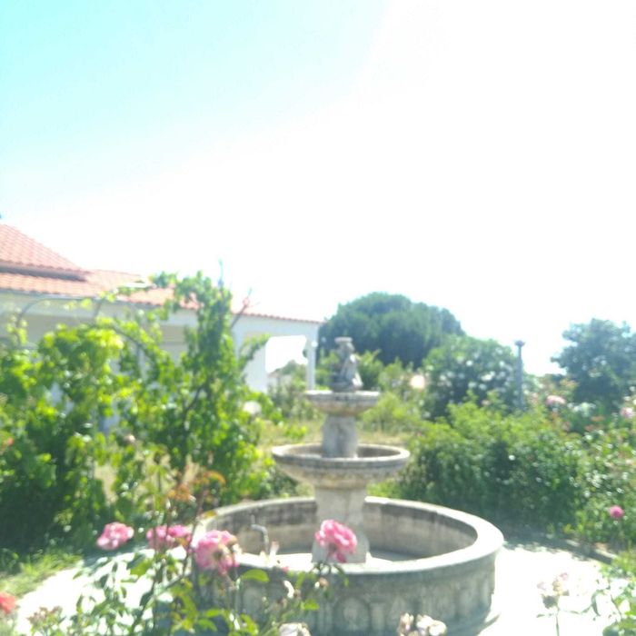 Quinta "Bela Vista" na Tapada das Figueiras em Castelo Branco