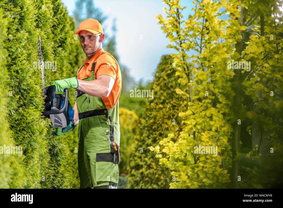 Косіння трави, бурянів, газону у Луцьку та по області.