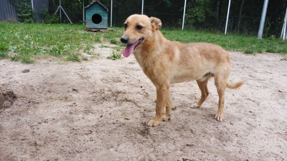 Biedny i zagubiony Etyl szuka stabilnego domu