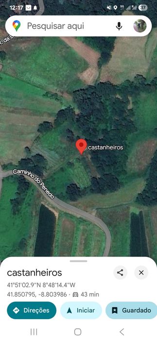 Terreno com castanheiros venade boa entrada