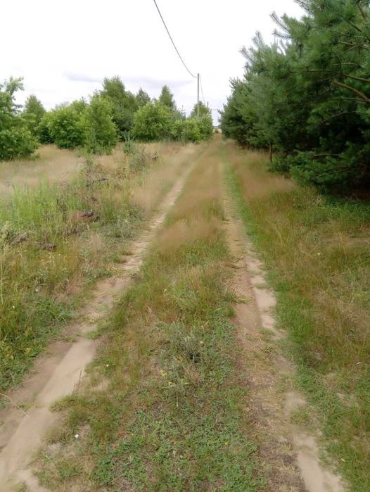 Sprzedam działkę