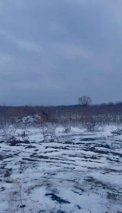 Продаж земельної ділянки 2,5га в місті