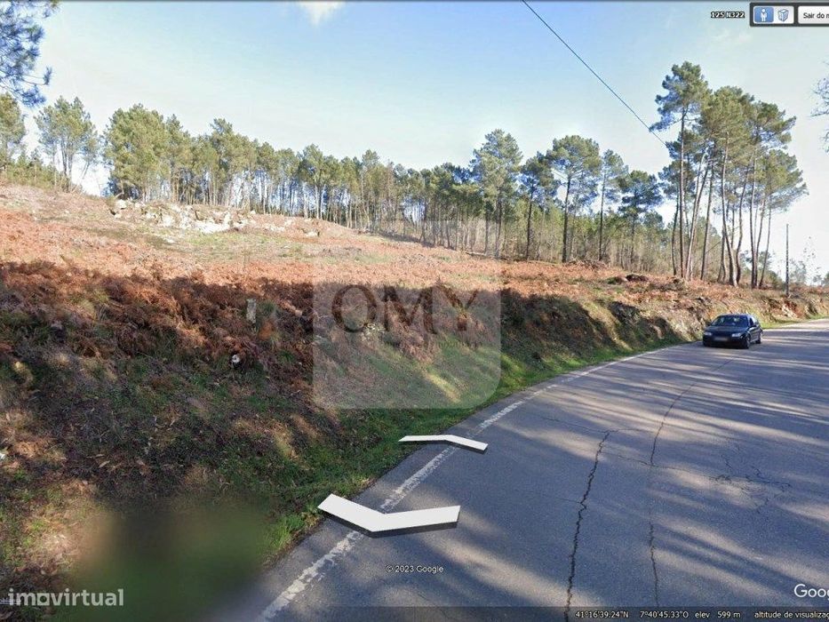 Terreno Junto à N322 na Freguesia de Constantim e Vale de Nogueiras