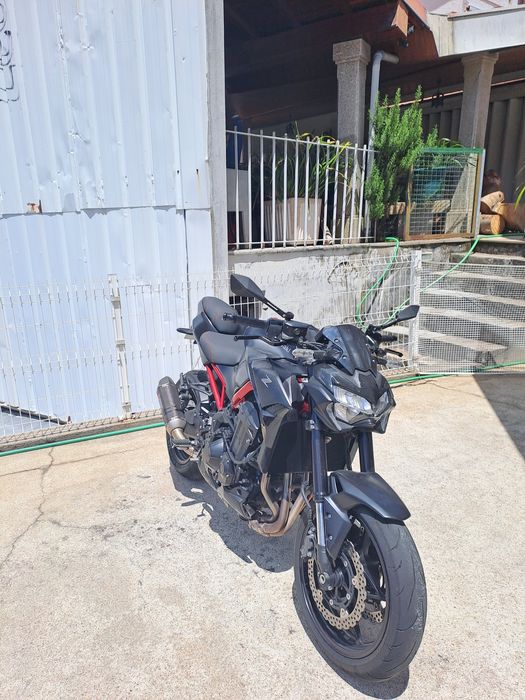 Kawasaki Z900 Performance 2021