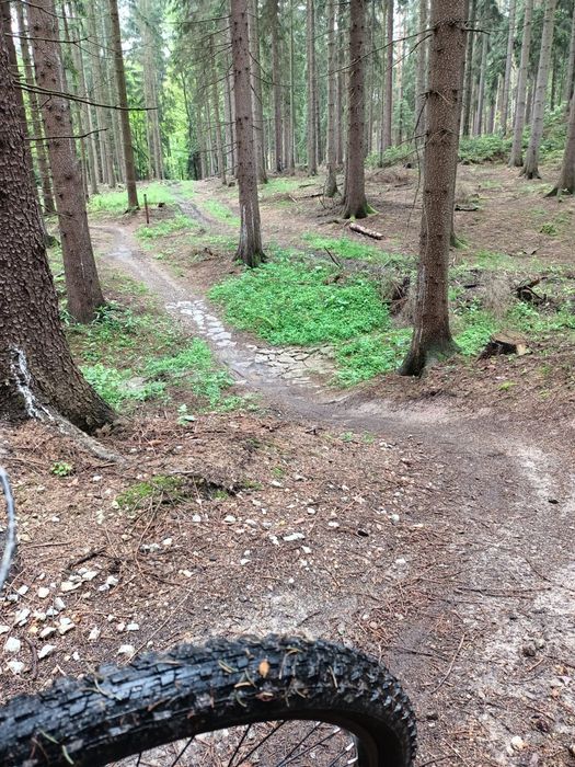 Apartament na wynajem Świeradów-Zdrój, Sky Walk, Singletrack, Narty.