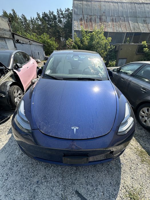 Tesla Інша модель, 2024