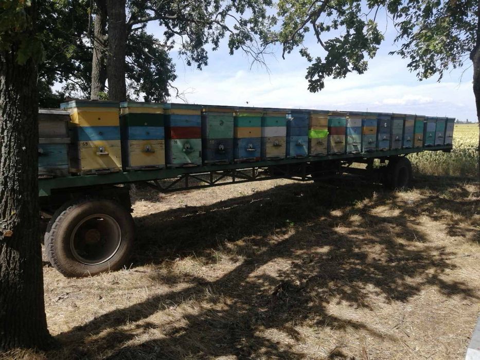 Причіп для бджіл