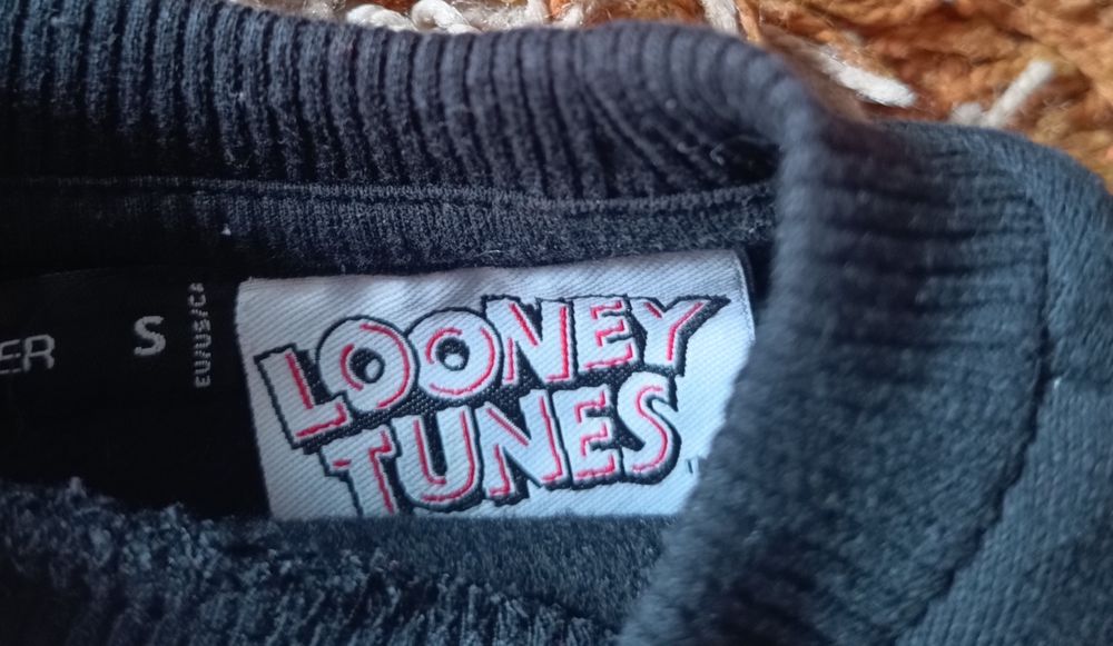 Długa, ciepła bluza Bugs Bunny, Tweety, looney tunes