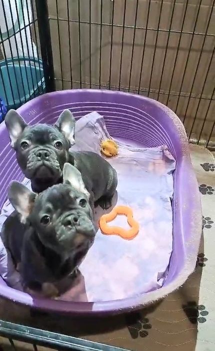 Крас.в Голубом ок..е!