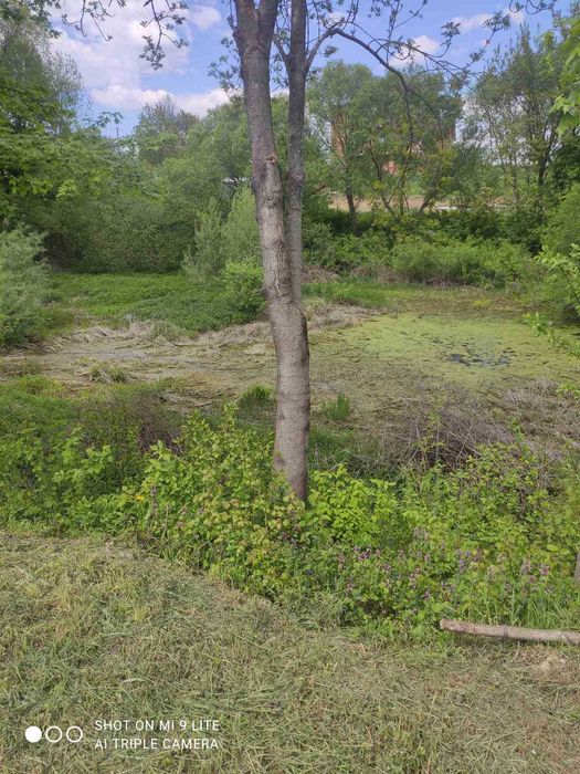 Бл. Зарванці , пров. Руданського , два сусідні участки 10,1+10,1 соток - Вид 3