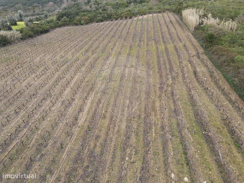 Terreno  para venda