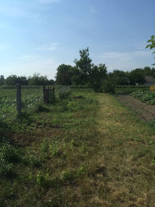 Продам земельну ділянку