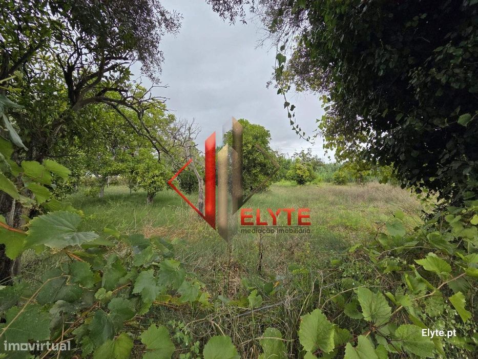 Terreno em Coruche junto ao Rio Sorraia