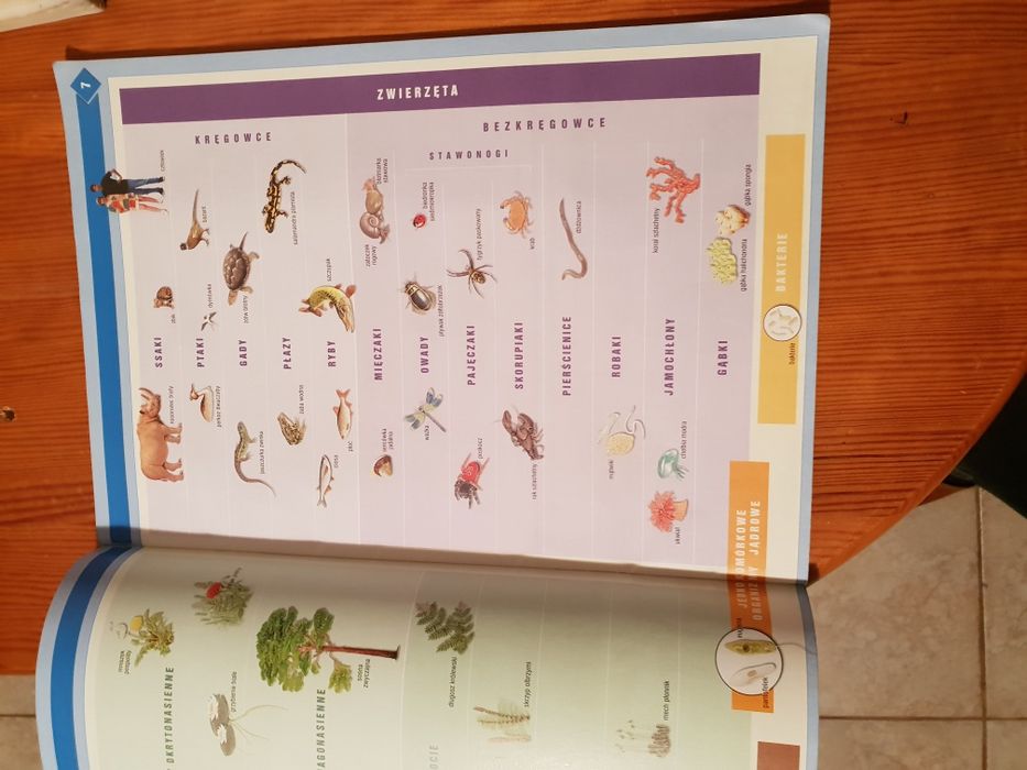 Atlas przyroda. Świat wokół nas.