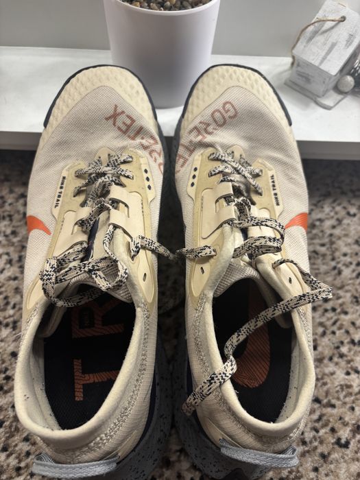 Кросівки чоловічі Nike Pegasus Trail 3 Gtx Beige DC8793-200