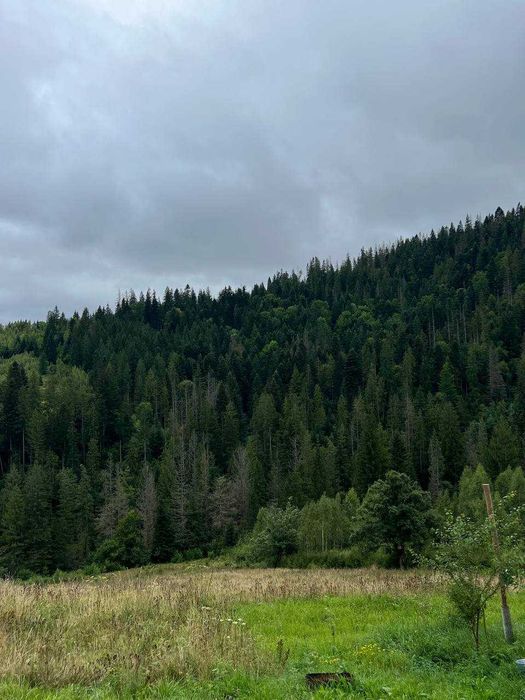 Ділянка в Карпатах, Микуличин 25сот,біля потічка, власник