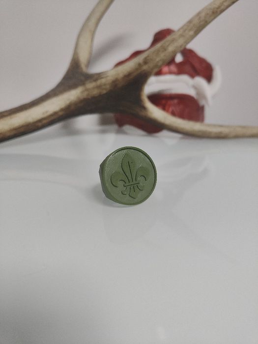 Pierścień harcerski / dla zucha 3D