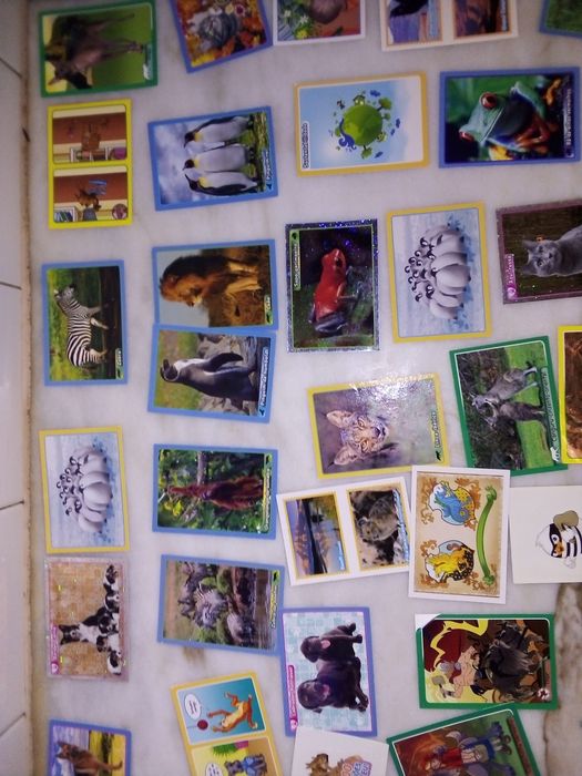Conjunto de 45 Cromos Colecção Animais