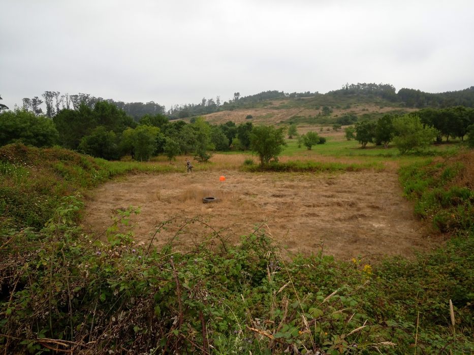 Limpeza florestal e jardim