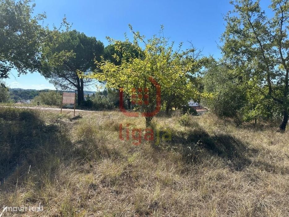 Terreno com Viabilidade de Construção - Ourém!64168411013633124