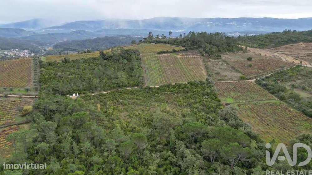 Terreno Agrícola em Condeixa-a-Velha e Condeixa-a-Nova