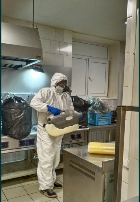 Уничтожение, травля тараканов, клопов, грызунов. Дезинфекция Днепр