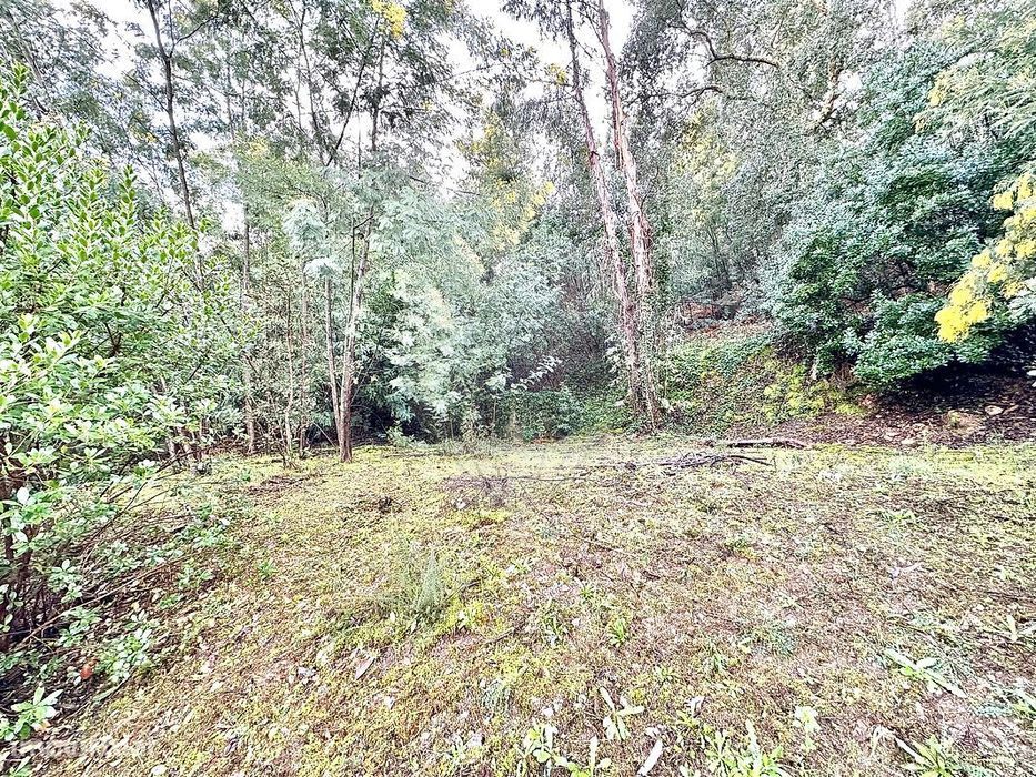Terreno  para venda