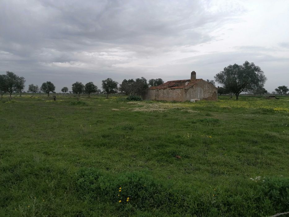 Quinta 12500m2 Alvalade