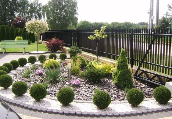 Посів газону, створення декоративних клумб,за акційною ціною -30%