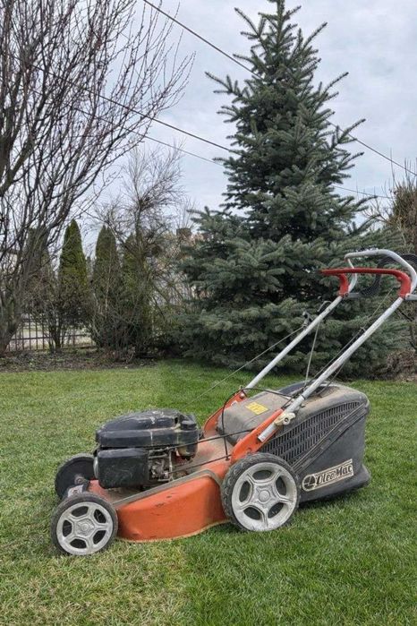 Ogrody – koszenie, przycinanie, szybka realizacja