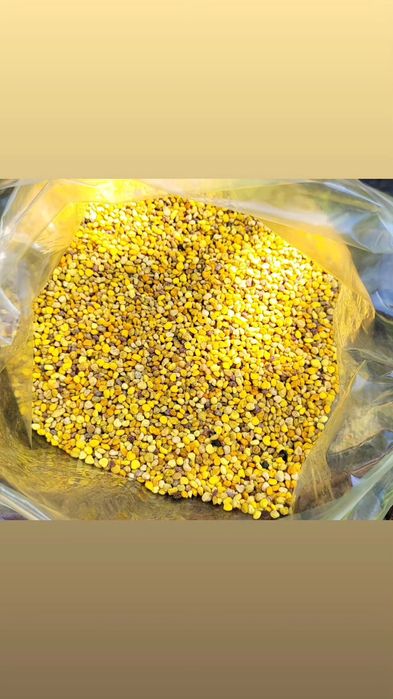 Pyłek Pszczeli 500 gram