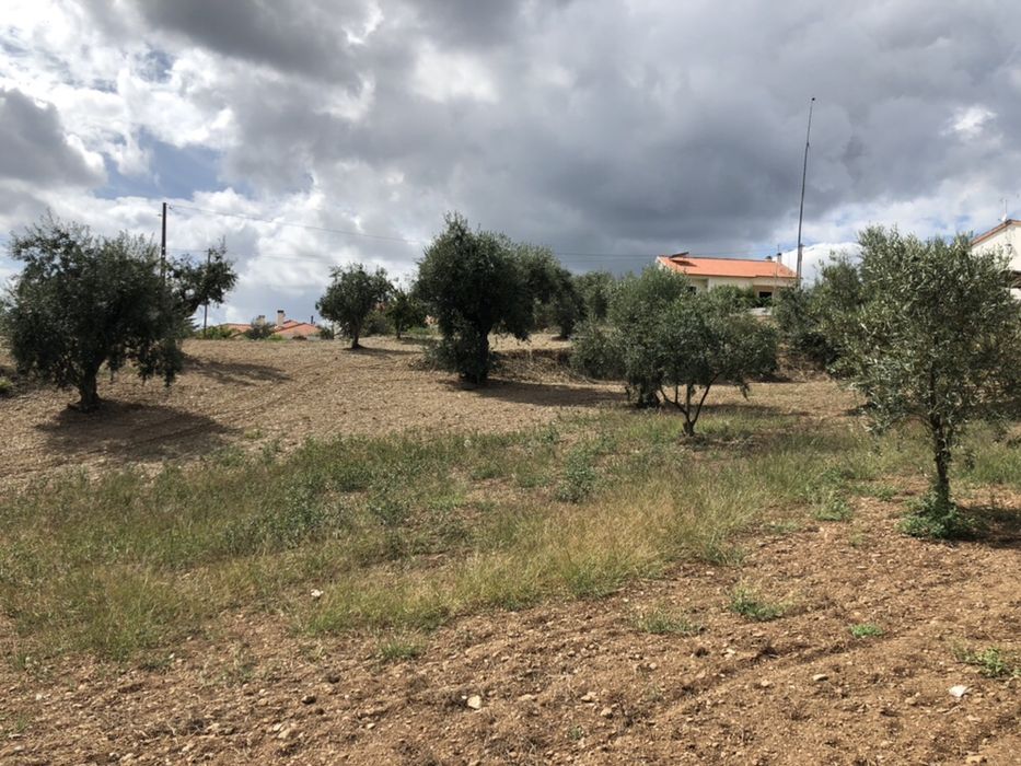 Terreno potencial para turismo rural na chaveira ,Cardigos,Mação