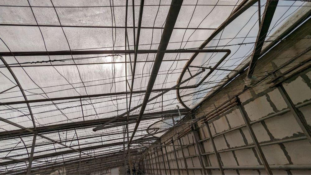 Система опалення для теплиць – котли, труби, горілки