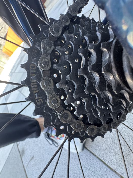 Trek Domane Al 2 rower szosowy