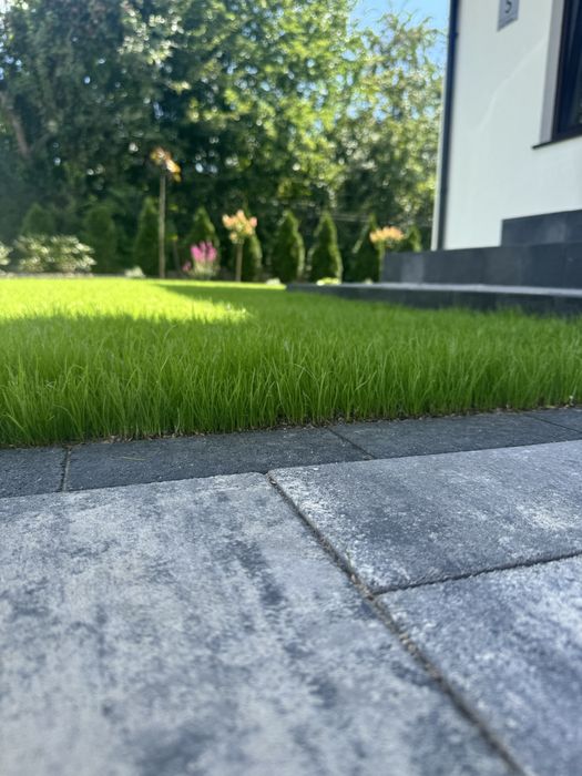 Zakładanie trawnika Zakładanie ogrodu Równanie Nawadnianie Wycinka