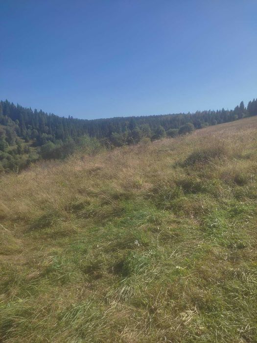 Продаж земельної ділянки у мальовничому селі Верхнє Висоцьке